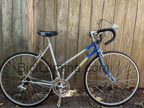 Schwinn World Sport ficha técnica y opiniones